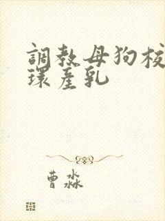 调教母狗校花穿环产乳