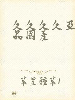 久久久久亚洲精品国产