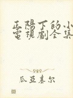 正阳下的小女人电视剧全集免费播放