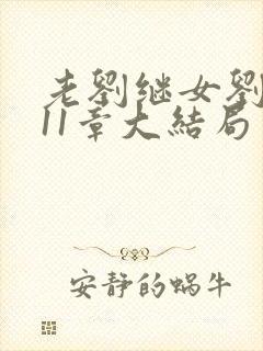 老刘继女刘小兰11章大结局封面