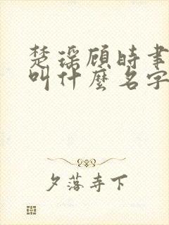 楚瑶顾时聿小说叫什么名字