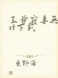 王爷宠妻无度txt下载