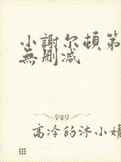 小谢尔顿第一季无删减