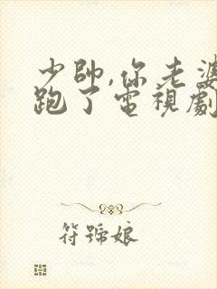 少帅,你老婆又跑了电视剧免费观看