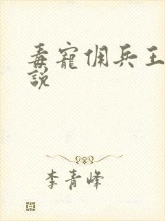 毒宠佣兵王妃小说封面