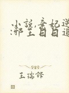 小说,弃妃逆袭:邪王日日追妻忙