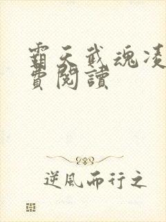 霸天武魂凌霄免费阅读