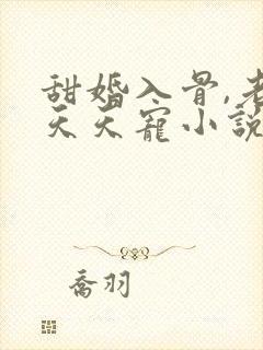 甜婚入骨,老公天天宠小说