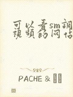 可以看sm调教视频的网站封面