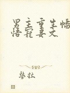 男主重生幡然醒悟宠妻文