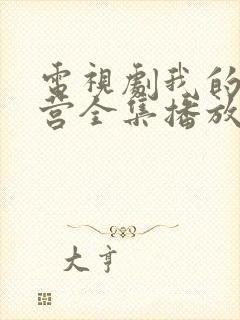 电视剧我的特一营全集播放