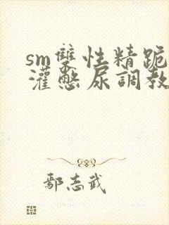 sm双性精跪趴灌憋尿调教h