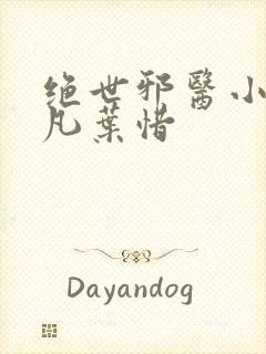 绝世邪医小说林凡叶惜