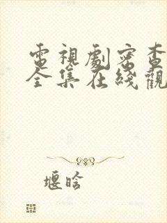 电视剧密查免费全集在线观看谍战迷