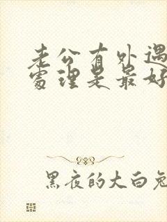 老公有外遇怎么处理是最好办法离婚封面