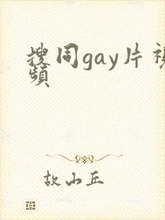 搜同gay片视频封面