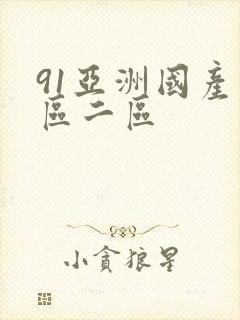 91亚洲国产一区二区