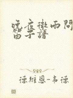 晚夜微雨问海棠笛子谱