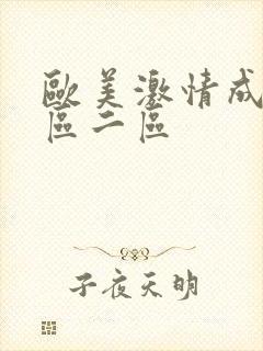 欧美激情成人一区二区封面