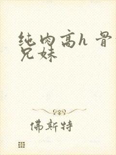 纯肉高h 骨科兄妹封面