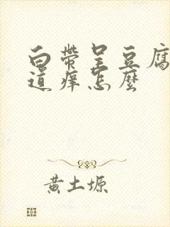 白带呈豆腐渣阴道痒怎么封面