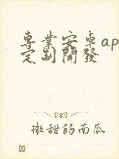 专业安卓app定制开发封面