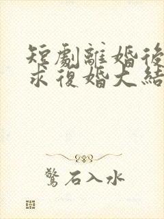 短剧离婚后前夫求复婚大结局