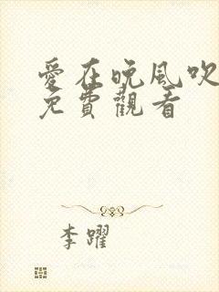 爱在晚风吹短剧免费观看