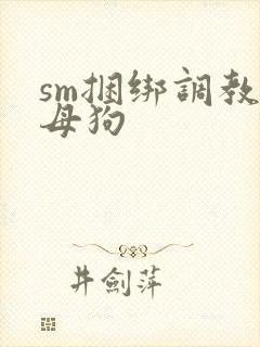 sm捆绑调教小母狗
