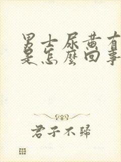 男士尿黄有骚味是怎么回事