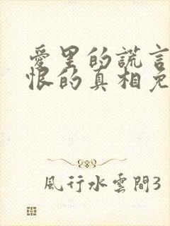 爱里的谎言,仇恨的真相免费