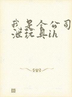 我是全公司的发泄玩具ih