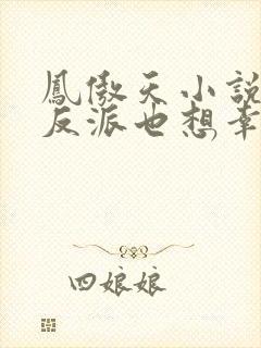 凤傲天小说里的反派也想幸福封面