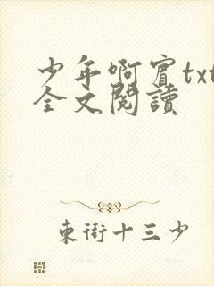 少年啊宾txt全文阅读