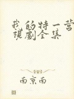 我的特一营 电视剧全集