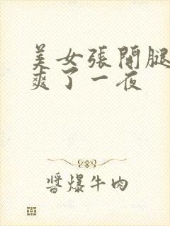 美女张开腿让人爽了一夜封面