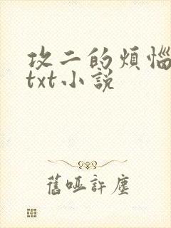 攻二的烦恼全文txt小说