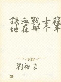 铁血战士杀戮之地在哪个平台