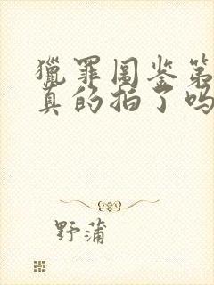 猎罪图鉴第二季真的拍了吗