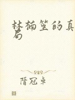 林楠笙的真实结局