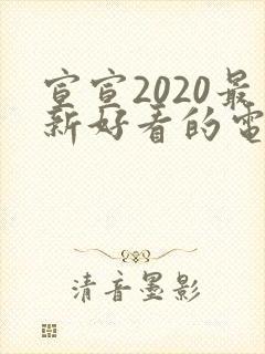 宣宣2020最新好看的电视剧