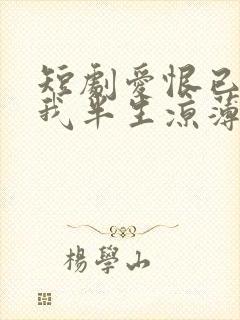 短剧爱恨已逝许我半生凉薄全集封面