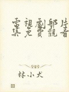 电视剧那片海全集免费观看