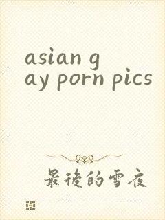 asian gay porn pics封面