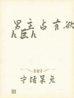 男主占有欲强高h巨h