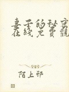 妻子的秘密电影在线免费观看