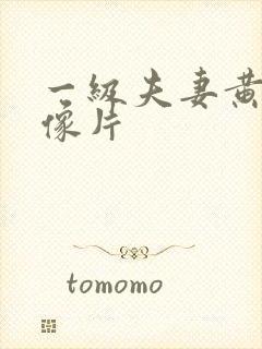 一级夫妻黄色录像片