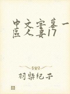 中文字幕一区二区人妻17