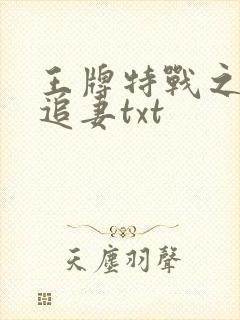 王牌特战之权少追妻txt