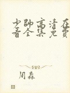 少帅高清在线观看全集免费